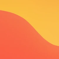 DistilBERT community