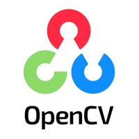Open Source Vision Foundation